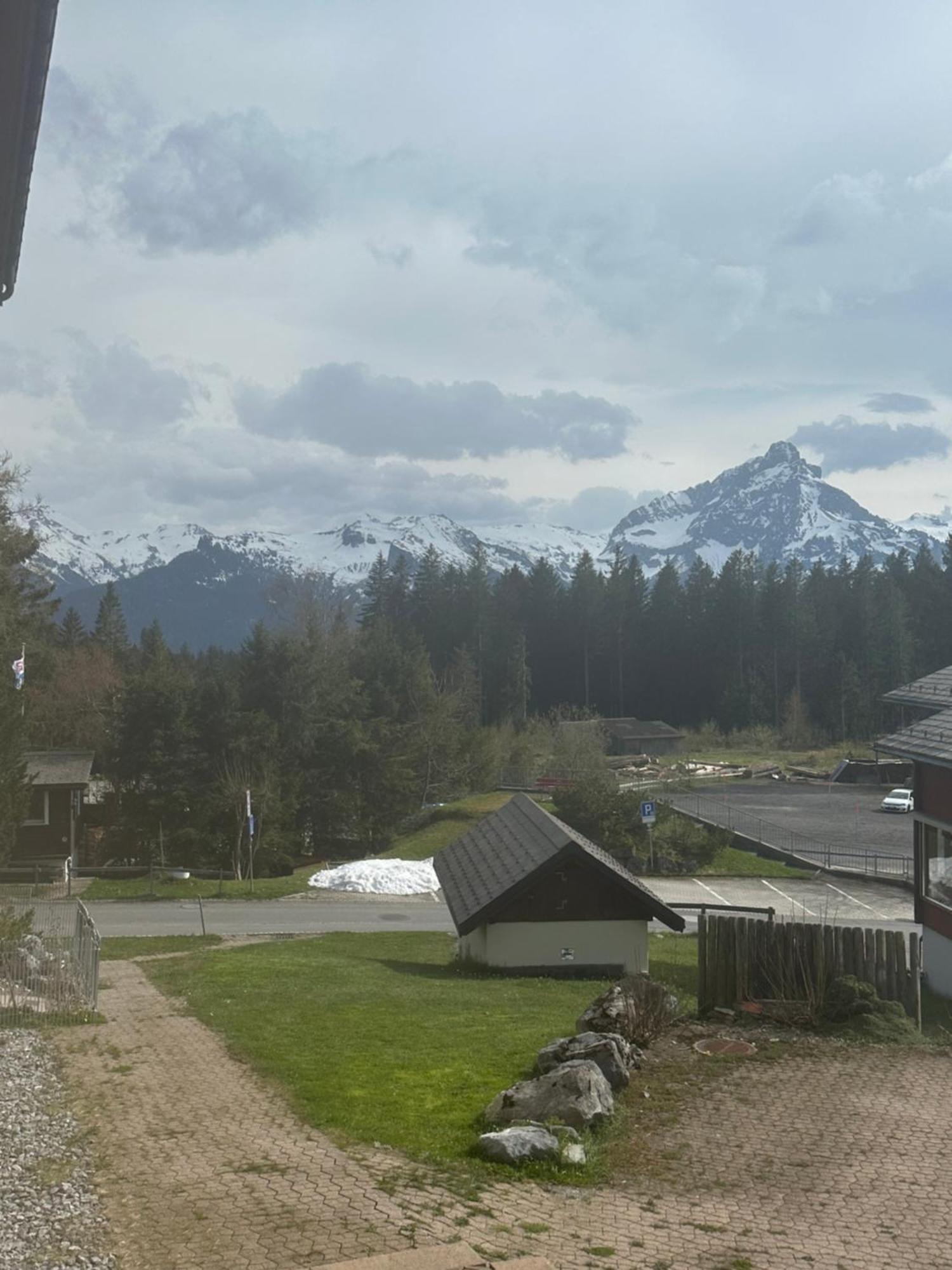 Arvenbueel Bergtraum Ueber *
